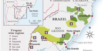 地图乌拉圭葡萄酒